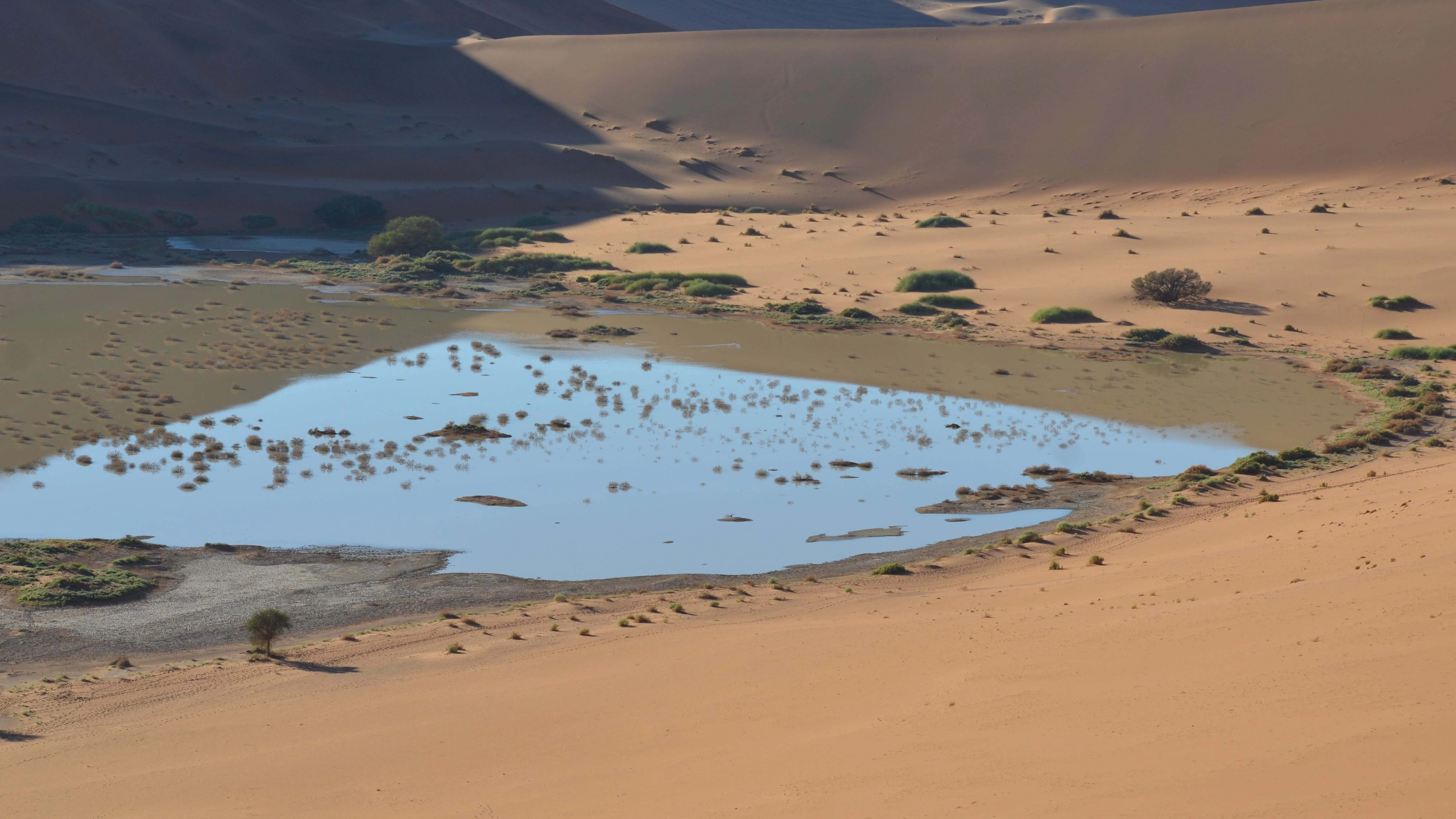 Pexels kallie calitz 19073607